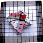 Checked towels 18x18 12 – Checked Cotton Kitchen Towels (view 4)